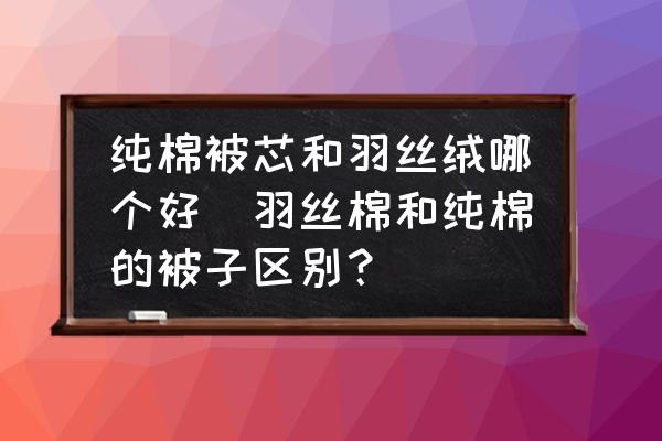 純棉被芯和羽絲絨哪個好(羽絲棉和純棉的被子區(qū)別？)