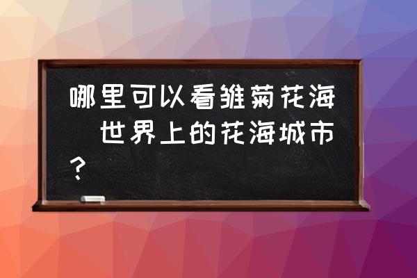 哪里可以看雛菊花海(世界上的花海城市？)