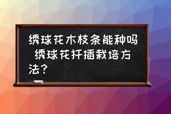 繡球花木枝條能種嗎 繡球花扦插栽培方法？