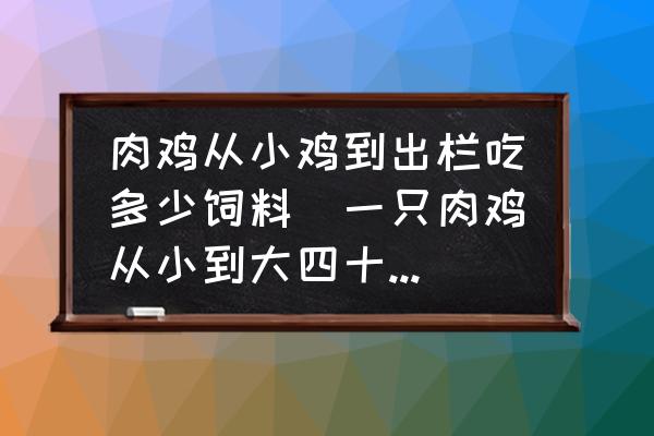 肉雞從小雞到出欄吃多少飼料(一只肉雞從小到大四十五天能吃多少飼料？)