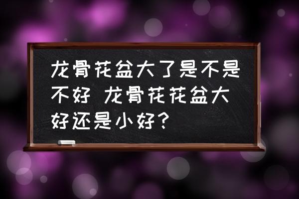 龍骨花盆大了是不是不好 龍骨花花盆大好還是小好？