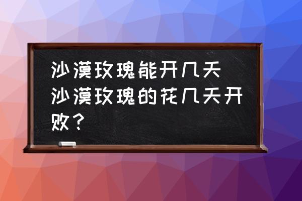 沙漠玫瑰能開幾天 沙漠玫瑰的花幾天開??？
