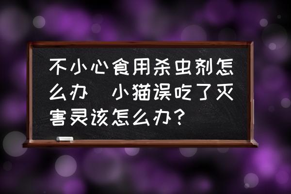 不小心食用殺蟲劑怎么辦(小貓誤吃了滅害靈該怎么辦？)