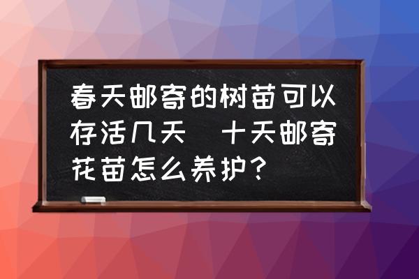 春天郵寄的樹(shù)苗可以存活幾天(十天郵寄花苗怎么養(yǎng)護(hù)？)
