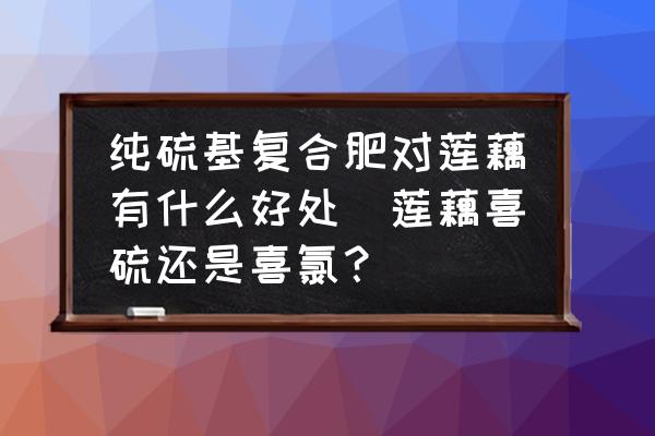 純硫基復(fù)合肥對蓮藕有什么好處(蓮藕喜硫還是喜氯？)