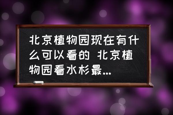 北京植物園現(xiàn)在有什么可以看的 北京植物園看水杉最佳時間？