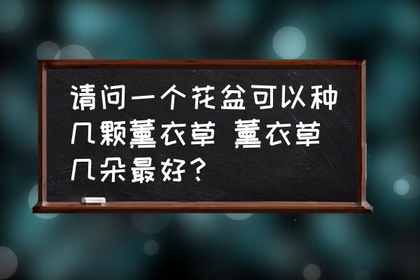 請問一個(gè)花盆可以種幾顆薰衣草 薰衣草幾朵最好？