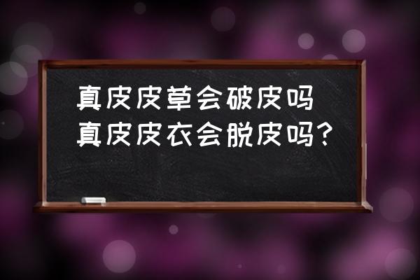 真皮皮草會破皮嗎(真皮皮衣會脫皮嗎？)