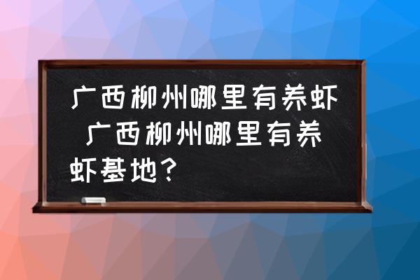 廣西柳州哪里有養(yǎng)蝦 廣西柳州哪里有養(yǎng)蝦基地？
