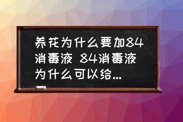養(yǎng)花為什么要加84消毒液 84消毒液為什么可以給花保鮮？