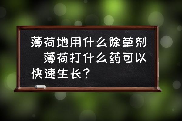 薄荷地用什么除草劑(薄荷打什么藥可以快速生長？)