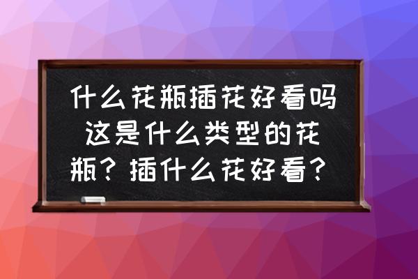 什么花瓶插花好看嗎 這是什么類型的花瓶？插什么花好看？