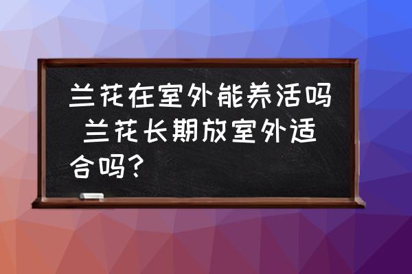 蘭花在室外能養(yǎng)活嗎 蘭花長期放室外適合嗎？