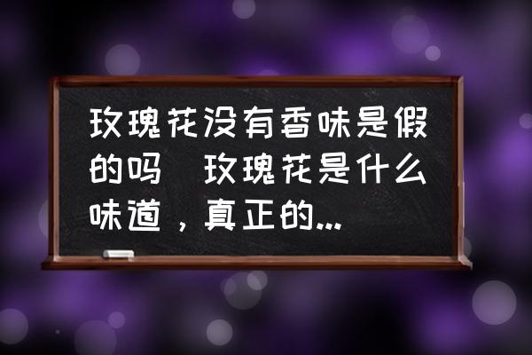 玫瑰花沒有香味是假的嗎(玫瑰花是什么味道，真正的玫瑰花有香味嗎？)