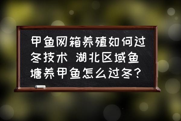 甲魚網(wǎng)箱養(yǎng)殖如何過冬技術(shù) 湖北區(qū)域魚塘養(yǎng)甲魚怎么過冬？