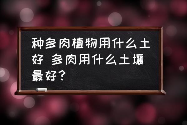 種多肉植物用什么土好 多肉用什么土壤最好？