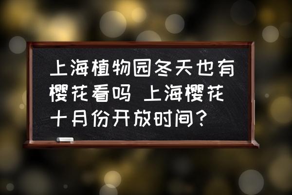 上海植物園冬天也有櫻花看嗎 上海櫻花十月份開放時間？