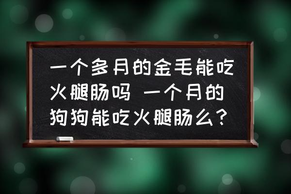 一個(gè)多月的金毛能吃火腿腸嗎 一個(gè)月的狗狗能吃火腿腸么？