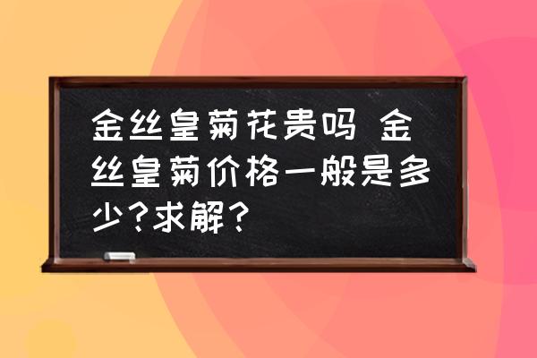 金絲皇菊花貴嗎 金絲皇菊價格一般是多少?求解？