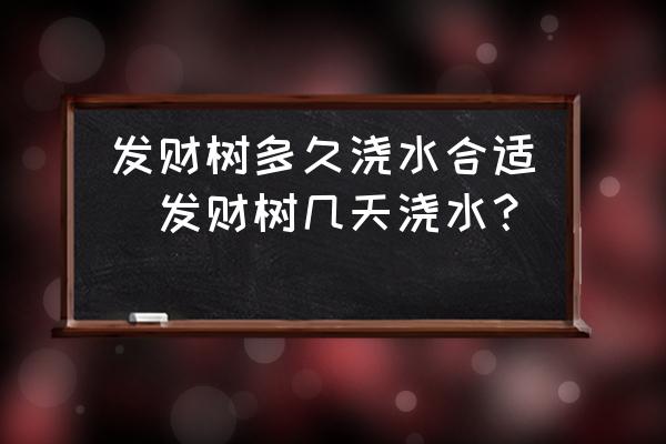 發(fā)財(cái)樹多久澆水合適(發(fā)財(cái)樹幾天澆水？)
