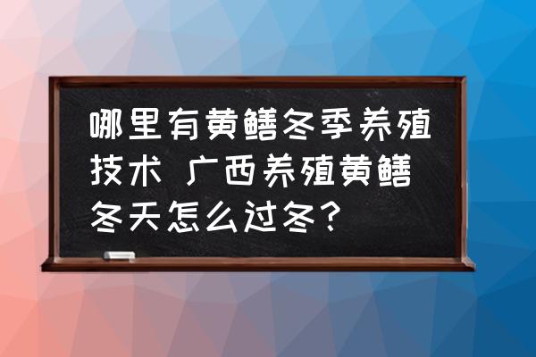 哪里有黃鱔冬季養(yǎng)殖技術 廣西養(yǎng)殖黃鱔冬天怎么過冬？