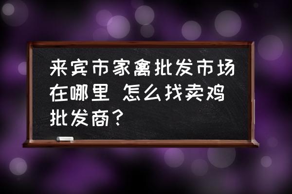 來賓市家禽批發(fā)市場在哪里 怎么找賣雞批發(fā)商？