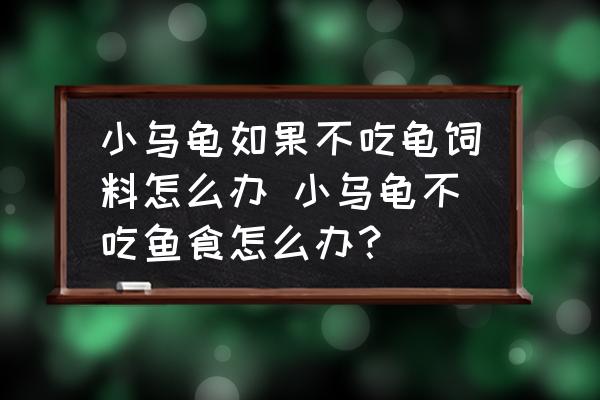小烏龜如果不吃龜飼料怎么辦 小烏龜不吃魚食怎么辦？