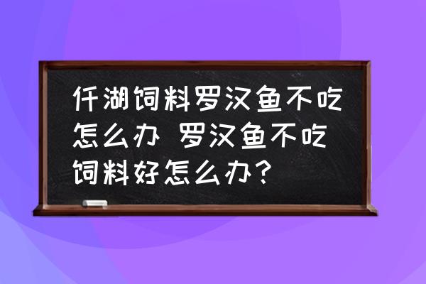 仟湖飼料羅漢魚(yú)不吃怎么辦 羅漢魚(yú)不吃飼料好怎么辦？