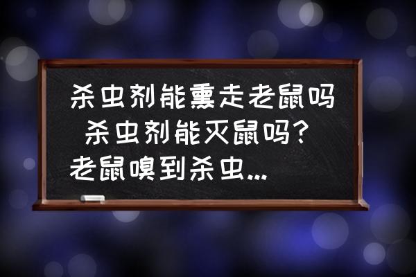 殺蟲劑能熏走老鼠嗎 殺蟲劑能滅鼠嗎？老鼠嗅到殺蟲劑的氣味會死嗎？