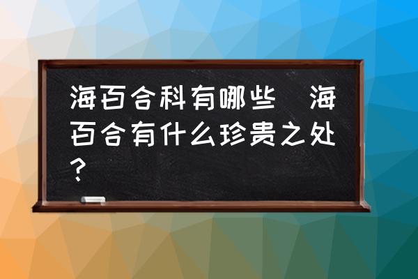 海百合科有哪些(海百合有什么珍貴之處？)