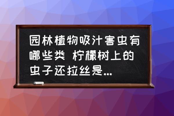 園林植物吸汁害蟲有哪些類 檸檬樹上的蟲子還拉絲是什么蟲？