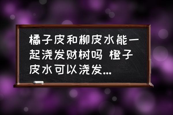 橘子皮和柳皮水能一起澆發(fā)財(cái)樹(shù)嗎 橙子皮水可以澆發(fā)財(cái)樹(shù)嗎？