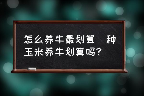 怎么養(yǎng)牛最劃算(種玉米養(yǎng)牛劃算嗎？)