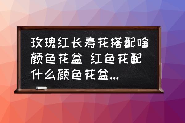 玫瑰紅長壽花搭配啥顏色花盆 紅色花配什么顏色花盆最好看？