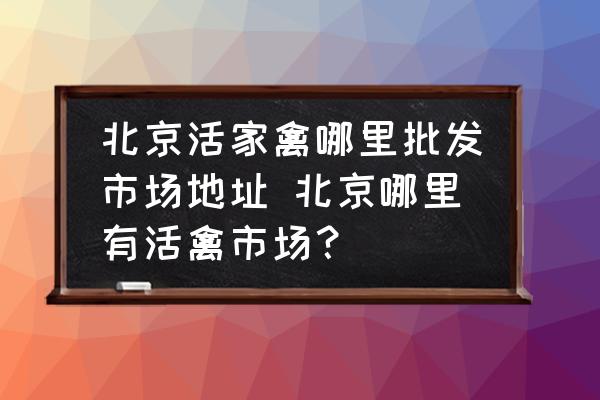 北京活家禽哪里批發(fā)市場(chǎng)地址 北京哪里有活禽市場(chǎng)？