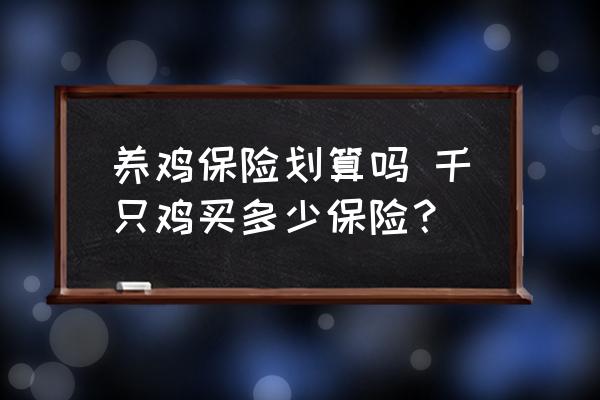 養(yǎng)雞保險(xiǎn)劃算嗎 千只雞買(mǎi)多少保險(xiǎn)？