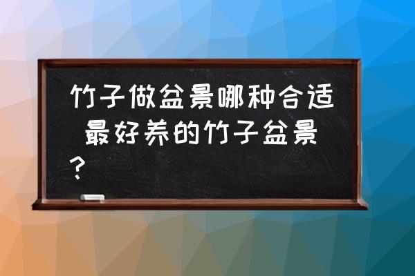 竹子做盆景哪種合適 最好養(yǎng)的竹子盆景？