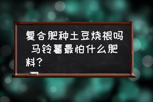 復(fù)合肥種土豆燒根嗎 馬鈴薯最怕什么肥料？