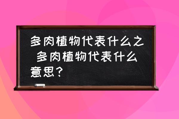 多肉植物代表什么之 多肉植物代表什么意思？