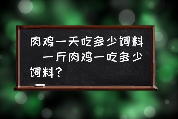 肉雞一天吃多少飼料(一斤肉雞一吃多少飼料？)