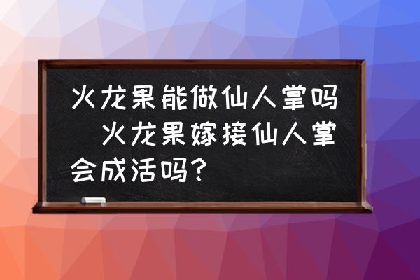 火龍果能做仙人掌嗎(火龍果嫁接仙人掌會成活嗎？)