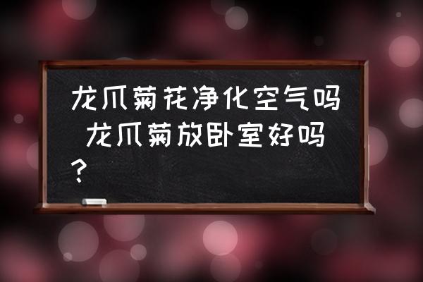龍爪菊花凈化空氣嗎 龍爪菊放臥室好嗎？