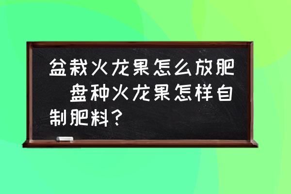 盆栽火龍果怎么放肥(盤種火龍果怎樣自制肥料？)