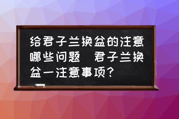 給君子蘭換盆的注意哪些問(wèn)題(君子蘭換盆一注意事項(xiàng)？)