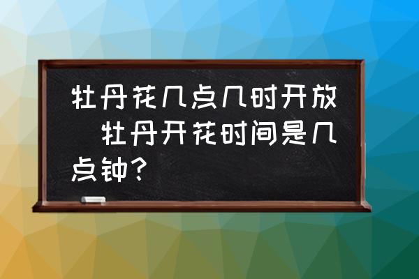 牡丹花幾點幾時開放(牡丹開花時間是幾點鐘？)