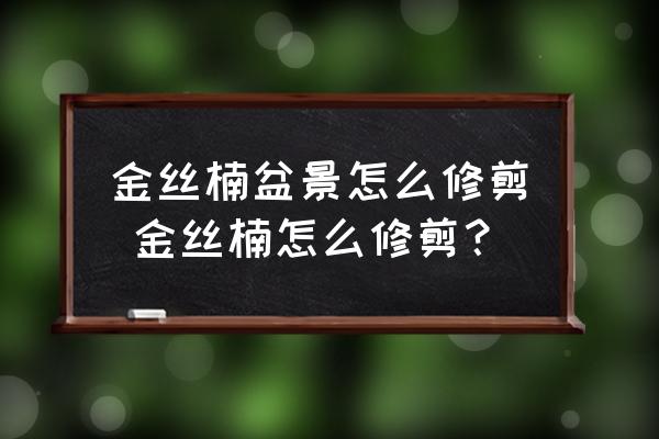 金絲楠盆景怎么修剪 金絲楠怎么修剪？