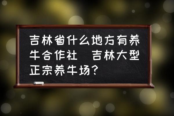 吉林省什么地方有養(yǎng)牛合作社(吉林大型正宗養(yǎng)牛場(chǎng)？)