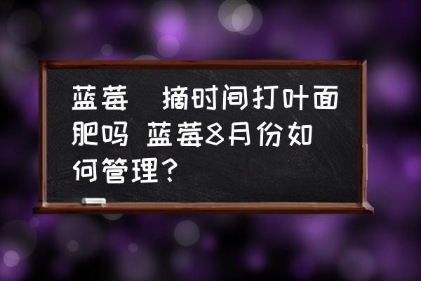 藍(lán)莓釆摘時間打葉面肥嗎 藍(lán)莓8月份如何管理？