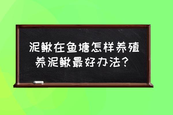 泥鰍在魚塘怎樣養(yǎng)殖 養(yǎng)泥鰍最好辦法？