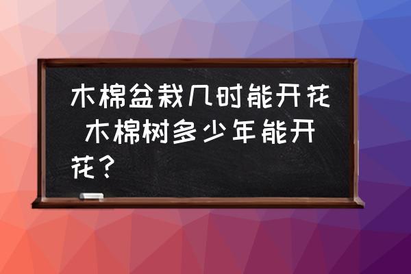 木棉盆栽幾時(shí)能開(kāi)花 木棉樹(shù)多少年能開(kāi)花？